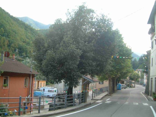  Image name: 06 leccio.jpg 
 width: 512 pixel 
 height: 384 pixel 
 Size: 53135 bytes 
 Click to enlarge 